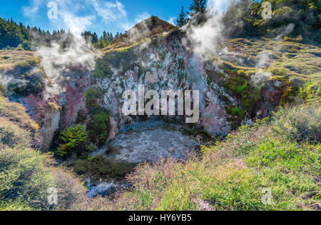 Crateri della luna - attivo campo geotermico in Taupo, Nuova Zelanda Foto Stock