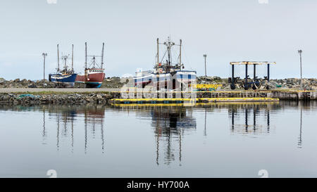 Barche da pesca cazzate fino sulla scogliera, Bonavista Harbour, Terranova Foto Stock