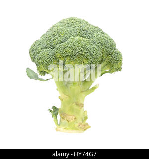 Raw broccoli verdi isolati su sfondo bianco Foto Stock