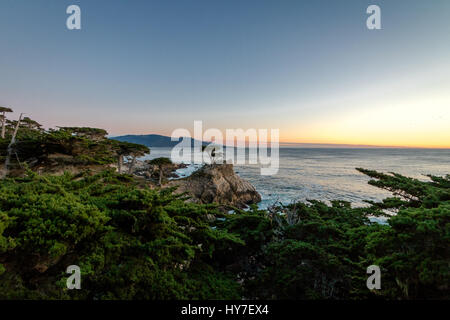 Lone cipresso vista al tramonto lungo la famosa 17 Mile Drive - Monterey, California, Stati Uniti d'America Foto Stock