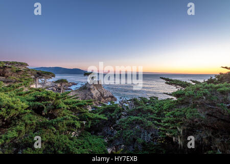 Lone cipresso vista al tramonto lungo la famosa 17 Mile Drive - Monterey, California, Stati Uniti d'America Foto Stock