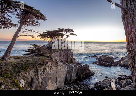 Lone cipresso vista al tramonto lungo la famosa 17 Mile Drive - Monterey, California, Stati Uniti d'America Foto Stock