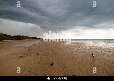 Cambs, Cleveland, Regno Unito. Sabato 1 Aprile 2017. Regno Unito Meteo. Aprile pesanti acquazzoni e temporali parti interessate della costa nord est dell' Inghilterra questo pomeriggio. Credito: David Forster/Alamy Live News Foto Stock