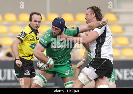 Parma,Italia.Il 1 aprile, 2017. Il Connacht n8 John Muldoon tenta un offload nella partita contro le zebre nel Guinness Pro12©Massimiliano Carnabuci/Alamy news Foto Stock