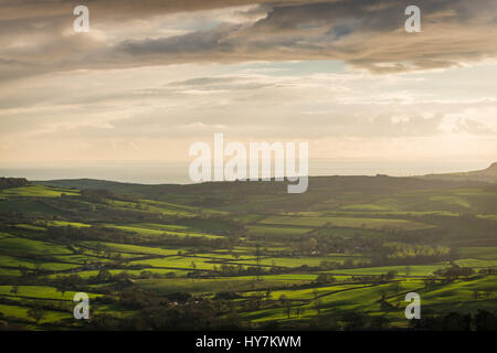 Eggardon collina vicino a Dorchester Dorset, Regno Unito. Il 1 aprile 2017. Sunrise dallo storico antico colle fort di Eggardon Hill nel West Dorset. © Dan Tucker/Alamy Live News Foto Stock