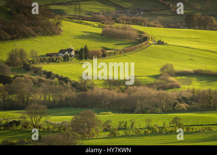 Eggardon collina vicino a Dorchester Dorset, Regno Unito. Il 1 aprile 2017. Sunrise dallo storico antico colle fort di Eggardon Hill nel West Dorset. © Dan Tucker/Alamy Live News Foto Stock