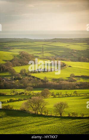 Eggardon collina vicino a Dorchester Dorset, Regno Unito. Il 1 aprile 2017. Sunrise dallo storico antico colle fort di Eggardon Hill nel West Dorset. © Dan Tucker/Alamy Live News Foto Stock