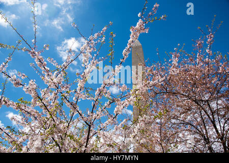 Washington, DC, Stati Uniti d'America. 1 Aprile, 2017. Il Kite Festival, Washington DC Credito: Angela Drake/Alamy Live News Foto Stock