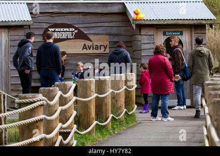 Burscough, Lancashire, Regno Unito. Regno Unito Meteo. 2 Marzo, 2017. Duck Hunt a Martin mera Wetland Centre. Giornata di Primavera a Martin mere una zona umida riserva naturale gestita dal Wildfowl and Wetlands Trust in Lancashire, Regno Unito. I visitatori della riserva godendo il sole primaverile come gli uccelli acquatici, uccelli acquatici e anatre apparentemente benvenuti l insorgenza di temperature più calde. I visitatori sono stati trattati per un anatra sentiero di suoneria per individuare fino a 20 denominata anatre di plastica nascosti nel fogliame. Credito; MediaWorldImages/AlamyLiveNews Foto Stock