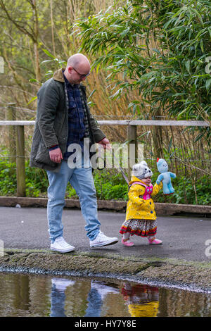 Burscough, Lancashire, Regno Unito. Regno Unito Meteo. 2 Marzo, 2017. Duck Hunt a Martin mera Wetland Centre. Giornata di Primavera a Martin mere una zona umida riserva naturale gestita dal Wildfowl and Wetlands Trust in Lancashire, Regno Unito. I visitatori della riserva godendo il sole primaverile come gli uccelli acquatici, uccelli acquatici e anatre apparentemente benvenuti l insorgenza di temperature più calde. I visitatori sono stati trattati per un anatra sentiero di suoneria per individuare fino a 20 denominata anatre di plastica nascosti nel fogliame. Credito; MediaWorldImages/AlamyLiveNews Foto Stock