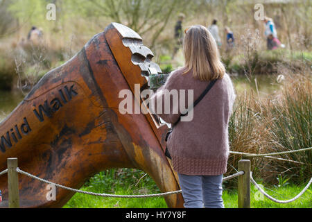 Scultura gigantesca di stivali Wild Walk a Burscough, Lancashire, Primavera Day a Martin Mere una riserva naturale delle zone umide gestita dal Wildfowl and Wetlands Trust in Lancashire, Regno Unito. I visitatori della riserva godendo del sole primaverile come uccelli acquatici, uccelli acquatici e anatre apparentemente accogliere l'inizio delle temperature più calde. I visitatori sono stati trattati con un percorso di caccia all'anatra per individuare fino a 20 anatre di plastica chiamate nascoste nel fogliame. Foto Stock