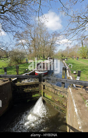 Wey navigazioni di Ripley, Surrey, Regno Unito. 2 apr, 2017. Un canal boat passa attraverso Newark Lock sul Wey navigazioni vicino a Ripley nel Surrey. Con il sole caldo e una brezza leggera, è stata la giornata perfetta per godersi un viaggio sull'acqua. Credito: Julia Gavin UK/Alamy Live News Foto Stock