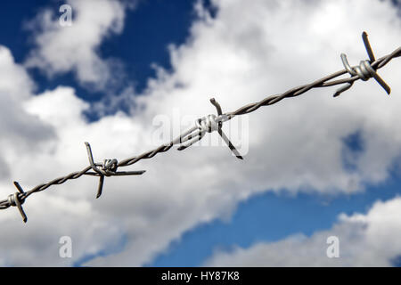 Il filo spinato vicino. Filo trafilato recinto sotto il cielo blu. Foto Stock