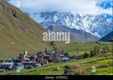 Tradizionale Svanetian medievale torre ospita, Ushguli villaggio, Shkhara Moutains dietro, regione di Svaneti, Caucaso, Georgia Foto Stock