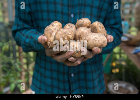 Un giovane maschio giardiniere lavora nella sua serra Foto Stock