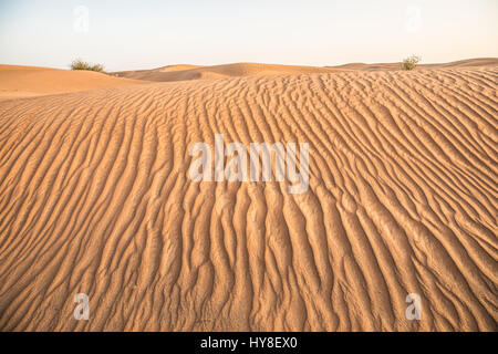 Villaggio operaio nel deserto arabico abbandonato negli anni settanta a causa di rumori di haunted case. Dubai, Emirati Arabi Uniti. Foto Stock