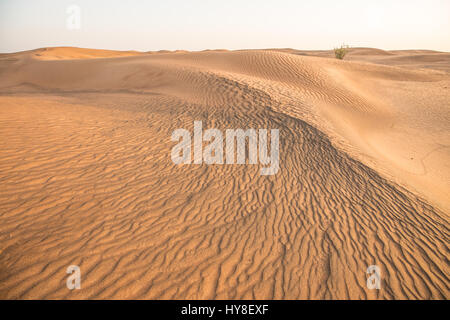 Villaggio operaio nel deserto arabico abbandonato negli anni settanta a causa di rumori di haunted case. Dubai, Emirati Arabi Uniti. Foto Stock