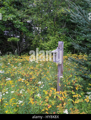 Birdhouse in un prato Foto Stock