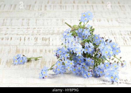 Mazzetto di dimenticare-me-non su sfondo di legno Foto Stock