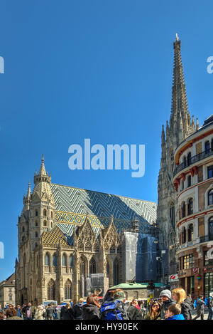 Cattedrale di Stephansdom, Vienna, Austria. Foto Stock