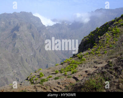 Deserto agave piante crescono sulle ripide pendici a secco delle montagne di Santo Antao, Repubblica di Cabo Verde, Africa. Foto Stock