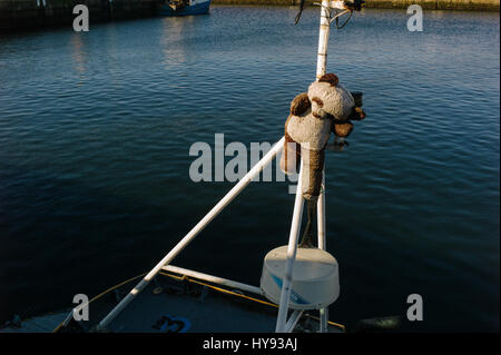 Il Mascot fissato al montante su Scottish peschereccio nel porto a Buckie. Foto Stock