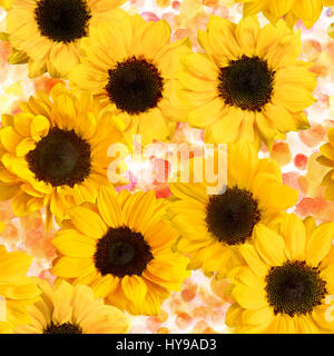 Modello senza soluzione di continuità con il giallo dei girasoli sulla texture ad acquerello Foto Stock