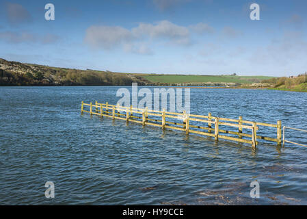 Gannel Estuary Spring Tide alta marea ponte sommerso inondazioni Sunny Sunshine Newquay Cornwall Foto Stock