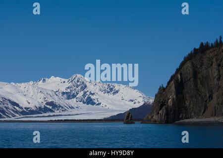 Una vista panoramica di Orso ghiacciaio in Kenai Fjords vicino a Seward, Alaska. Foto Stock