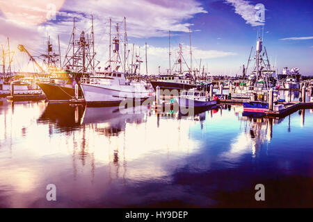 Un Southern California flotta peschereccia seduti in un marina. Foto Stock