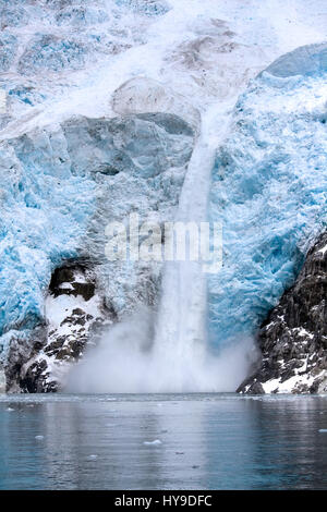 Ghiaccio cadano e sguazzare nel mare in un ghiacciaio nel Parco nazionale di Kenai Fjords vicino a Seward, Alaska. Foto Stock