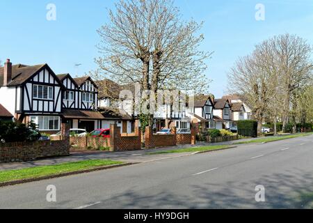 Case residenziali sulla Avenue Sunbury on Thames Surrey UK Foto Stock