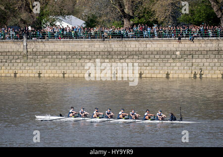 Londra, Regno Unito. 02Apr, 2017. La 72Cancer Research UK donna Boat Race 2017. Università di Oxford per donna Boat Club (OUWBC) v Cambridge University donna Boat Club (CUWBC). Lista Equipaggio:- OUWBC Blu equipaggio barca (blu scuro tops):- Prua: Flo sottaceti, 2: Alice Roberts, 3: Rebecca Esselstein, 4: Rebecca Te Naude acqua, 5: Harriet Austin, 6: Chloe Laverack, 7: Emily Cameron, corsa: Jenna Hebert, Cox: Eleanor Shearer. Pullman: Ali Williams. Blu CUWBC equipaggio (azzurro tops):- Prua: Ashton marrone, 2: Imogen concedere, 3: Claire Lambe, 4: Anna Dawson, 5: Ho Credito: Duncan Grove/Alamy Live News Foto Stock