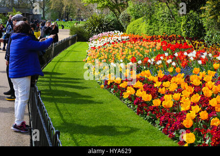 St James Park. Londra, Regno Unito. 3 apr, 2017. Credito: Dinendra Haria/Alamy Live News Foto Stock