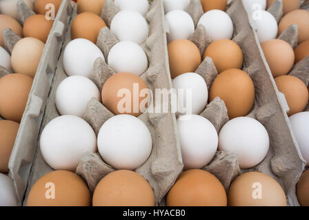 Uova in esposizione al mercato agricolo Foto Stock