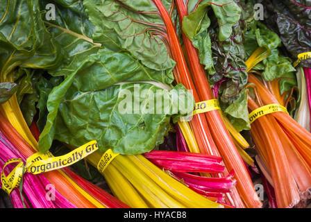 Rainbow Chard sul display per l'acquisto Foto Stock