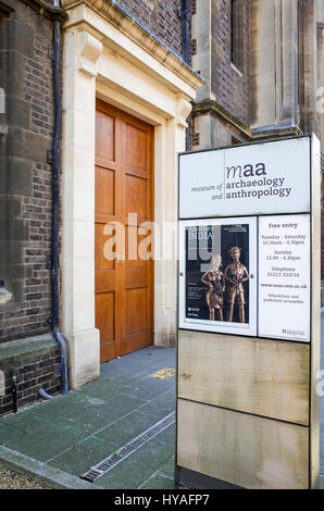 Segno di ingresso per i musei di archeologia e antropologia in Pembroke Street, Cambridge. Il museo fa parte dell'Università di Cambridge, UK. Foto Stock