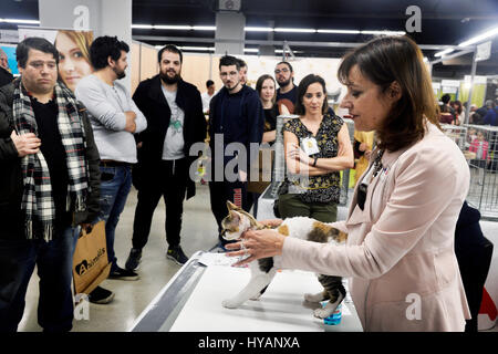 Cani e gatti evento, Espace Champerret, Parigi, Francia Foto Stock