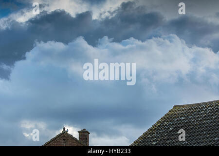 Cielo atmosferica con le nuvole Foto Stock