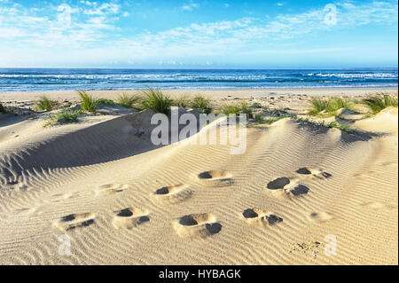 Una vista pittoresca del footprint e modelli di sabbia nelle dune di sabbia in spiaggia Conjola, Shoalhaven, South Coast, Nuovo Galles del Sud, NSW, Australia Foto Stock