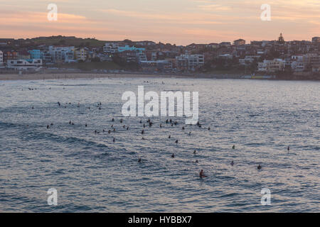 Mattina surfisti sulla famosa spiaggia Bondi di Sydney, Australia. Foto Stock