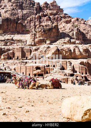 PETRA, GIORDANIA - Febbraio 21, 2012: beduino cammelli nell'antica città di Petra. Rock-cut town Petra fu fondata circa 312 A.C. la città capitale di un Foto Stock