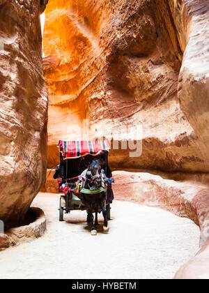 PETRA, GIORDANIA - Febbraio 21, 2012: beduino carrello cavallo in Al Siq passaggio alla antica città di Petra in inverno. Rock-cut town Petra fu fondata circa 312 Foto Stock