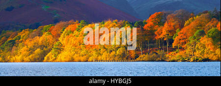 Un tripudio di colore di autunno lungo le rive di Derwentwater, Parco Nazionale del Distretto dei Laghi, England, Regno Unito Foto Stock