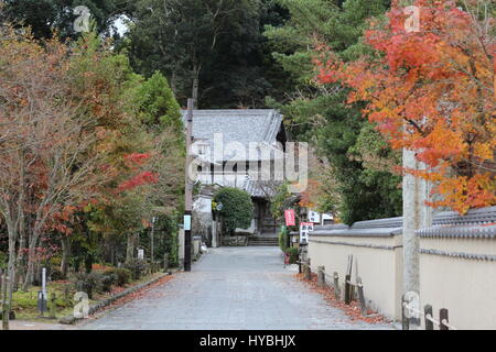 Alberi colorati di rivestimento del marciapiede e uno scorcio di una casa tradizionale giapponese a distanza Foto Stock