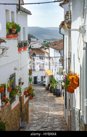 Corsia fiorito della città di Ubrique nella provincia di Cádiz, il più grande della città bianca, Pueblos Blancos di Andalusia, Spagna Foto Stock