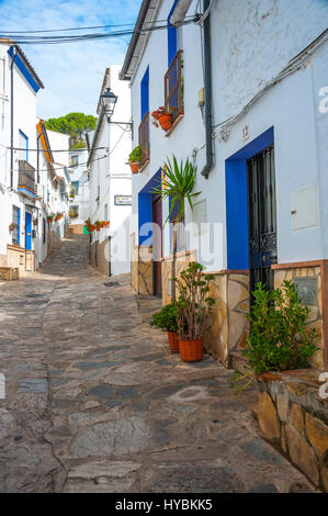 Una stretta viuzza della città di Ubrique nella provincia di Cádiz, il più grande della città bianca, Pueblos Blancos di Andalusia, Spagna Foto Stock