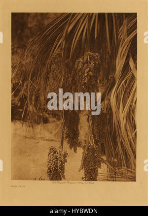 La collezione Edward S. Curtis include fotografie come "Palm Fruit", che catturano la cultura e la vita quotidiana dei nativi americani. Il lavoro di Curtis, incentrato sulle popolazioni indigene, offre un prezioso resoconto visivo delle loro tradizioni e ambienti. Foto Stock