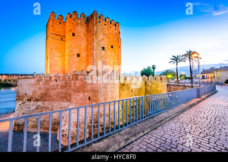 Cordoba, Spagna. Ponte romano sul fiume Guadalquivir, Torre di Calahorra al crepuscolo nella città di Cordoba, Andalusia. Foto Stock