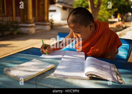 Giovane monaco buddista studiando, luang, prapang, Laos Foto Stock